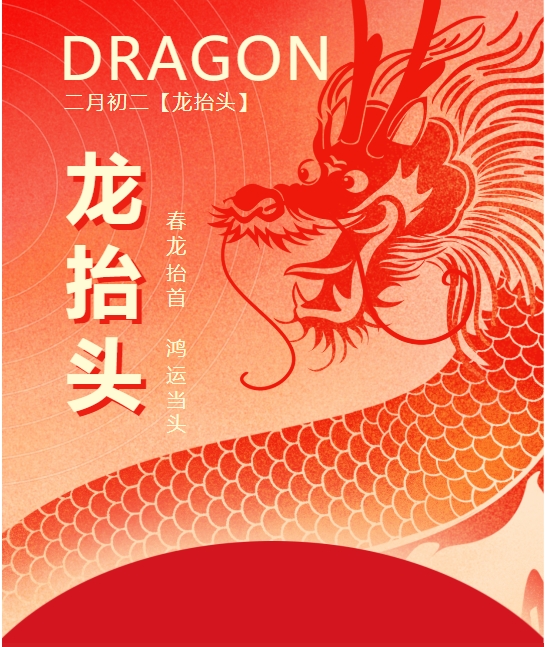 二月二龍?zhí)ь^，春龍振翅鴻運啟 —— 佳木斯網云信息科技有限公司與您共迎新春盛景